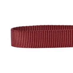 Nylon Dog Collar For Boy Girl Dogs - Durable And Stylish -Dog & Cat Store 1040112025 3 7b59e189 ae2d 4e34 859d 1dd0fafdd092