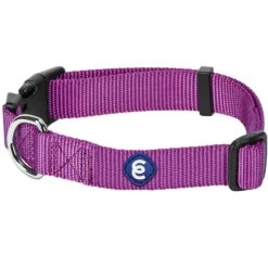 Classic Solid Color Adjustable Dog Collar, Purple Style -Dog & Cat Store 1040118027 1 1 4ebea414 0ef3 4995 b8ab 1ae30acafabc