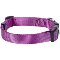 Classic Solid Color Adjustable Dog Collar, Purple Style -Dog & Cat Store 1040118027 2 7dcf62bd d424 4012 a205 e92a45959b52