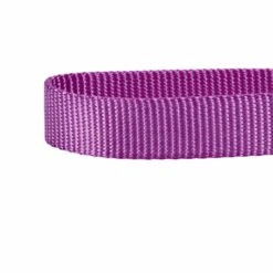 Classic Solid Color Adjustable Dog Collar, Purple Style -Dog & Cat Store 1040118027 3 4c205a01 c133 4490 9368 e5122dec9b59