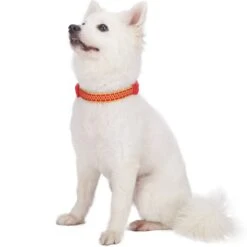 Geometric Designer Metallic Thread Dog Collar For Stylish Pets -Dog & Cat Store 1040121041 3