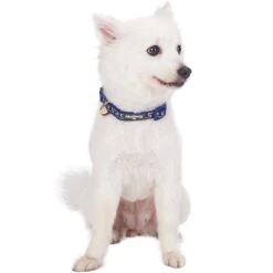 Geometric Designer Metallic Thread Dog Collar For Pets -Dog & Cat Store 1040122048 2