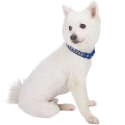 Geometric Designer Metallic Thread Dog Collar For Pets -Dog & Cat Store 1040122048 3