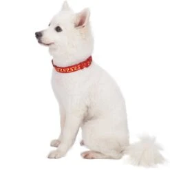Geometric Designer Metallic Thread Dog Collar For Pets -Dog & Cat Store 1040123045 3