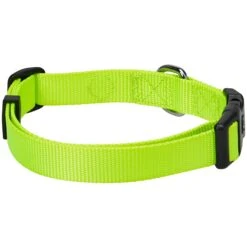 Nylon Dog Collar For Boy Girl Dogs - Durable And Stylish -Dog & Cat Store 1040124028 4