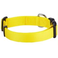Classic Solid Color Adjustable Dog Collar, Yellow/Orange -Dog & Cat Store 1040198029 2 3153394c ee88 4fce b541 d330e3372550