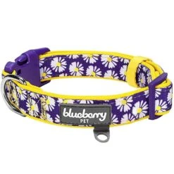 Floral Prints Neoprene Padded Dog Collar For Stylish Pets