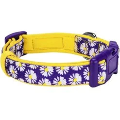 Floral Prints Neoprene Padded Dog Collar For Stylish Pets -Dog & Cat Store 1040269040 4 5b0f837a 286e 4fd8 b539 e6fd5a54366f