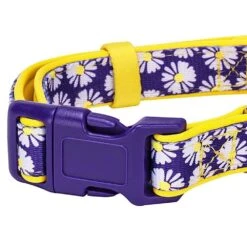 Floral Prints Neoprene Padded Dog Collar For Stylish Pets -Dog & Cat Store 1040269040 5 f7c552b4 3b11 4bf2 9769 edc4d79ec8ed