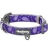 Paisley Print Padded Dog Collar For Stylish Comfort -Dog & Cat Store 1040272040 1 077363f7 1881 4f53 8dff bc06753b969f