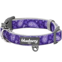 Paisley Print Padded Dog Collar For Stylish Comfort