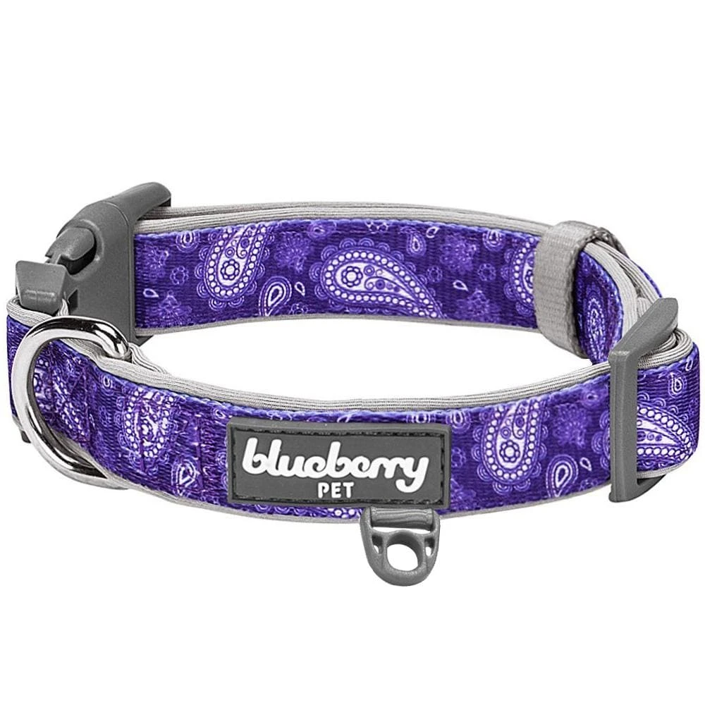 Paisley Print Padded Dog Collar For Stylish Comfort 1 Paisley Print Padded Dog Collar For Stylish Comfort