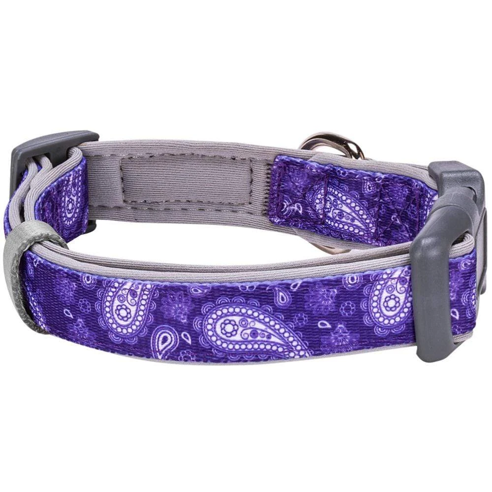 Paisley Print Padded Dog Collar For Stylish Comfort 2 Paisley Print Padded Dog Collar For Stylish Comfort - Image 2