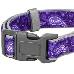 Paisley Print Padded Dog Collar For Stylish Comfort 10 Paisley Print Padded Dog Collar For Stylish Comfort -Dog & Cat Store 1040272040 3 3a4a3ca1 e690 4b7f a5df 7f903af367a9