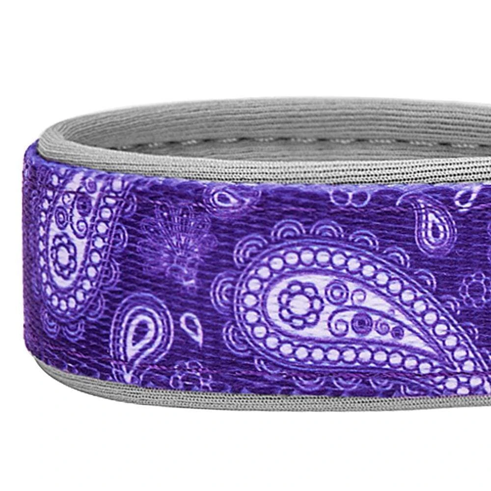 Paisley Print Padded Dog Collar For Stylish Comfort 4 Paisley Print Padded Dog Collar For Stylish Comfort - Image 4