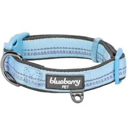 Reflective Hues Of Spring 3M Reflective Dog Collar -Dog & Cat Store 1040276048 1
