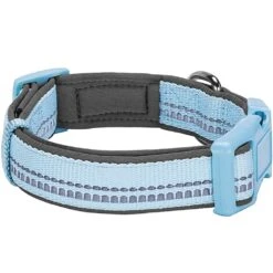 Reflective Hues Of Spring 3M Reflective Dog Collar -Dog & Cat Store 1040276048 4
