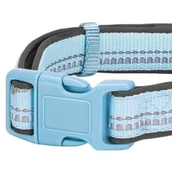 Reflective Hues Of Spring 3M Reflective Dog Collar -Dog & Cat Store 1040276048 5