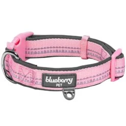 Reflective Hues Of Spring 3M Reflective Dog Collar -Dog & Cat Store 1040277045 1 03c5874f ebcb 4b42 b5c7 2653dd361435