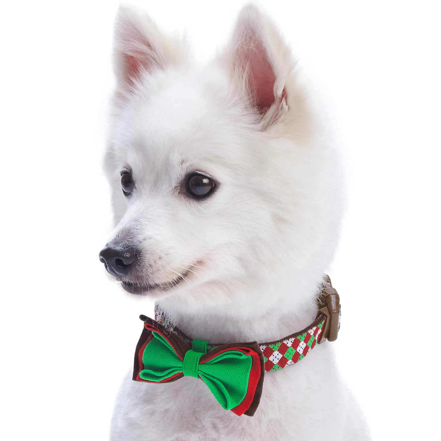 Christmas Dog Collar With Handmade Detachable Bow Tie 2 Christmas Dog Collar With Handmade Detachable Bow Tie - Image 2