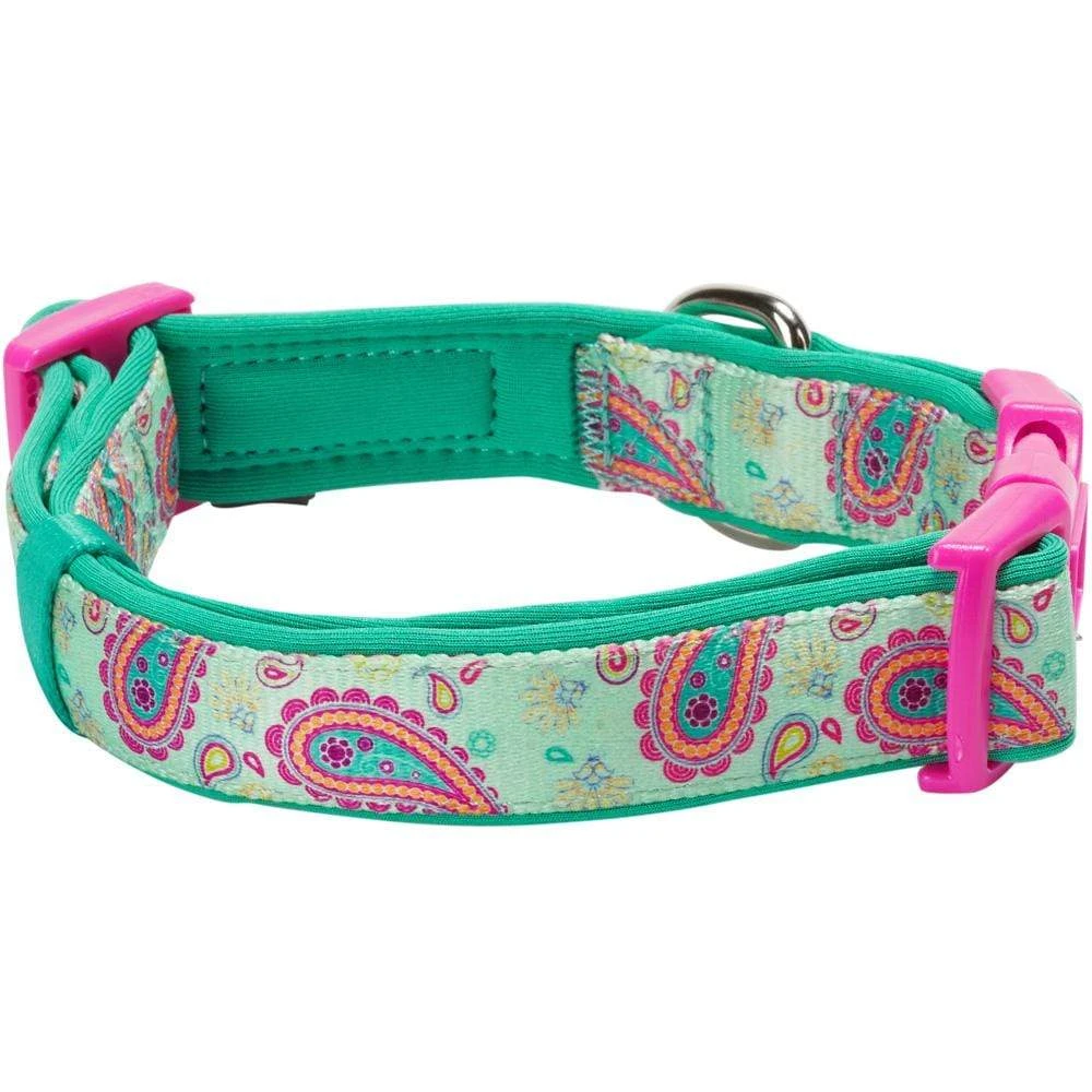 Paisley Print Padded Dog Collar For Stylish Comfort 6 Paisley Print Padded Dog Collar For Stylish Comfort - Image 6