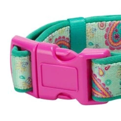 Paisley Print Padded Dog Collar For Stylish Comfort 14 Paisley Print Padded Dog Collar For Stylish Comfort -Dog & Cat Store 1040284043 3 bf9fd68d aba9 4b57 9fdf e9d85488357b