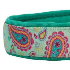 Paisley Print Padded Dog Collar For Stylish Comfort 15 Paisley Print Padded Dog Collar For Stylish Comfort -Dog & Cat Store 1040284043 4 bbf21e2e afb8 4dcd adcc f14f3552e3c6