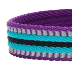 3M Reflective Dog Collar In Multi-colored Stripes For Safety -Dog & Cat Store 1040293045 4 0fb1af36 6860 419e a2fa d006170f8e09