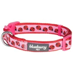 Flamingo Ladybug Dog Collar Summer Tropical Palm Leaves -Dog & Cat Store 1040332041 1 d05a3fbc 4322 49c1 98fd e6e1fc3755a1