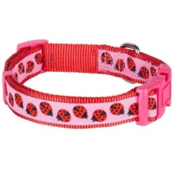 Flamingo Ladybug Dog Collar Summer Tropical Palm Leaves -Dog & Cat Store 1040332041 4 b1e2cd5e dda7 421a 8607 e4ba4f483506