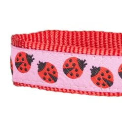 Flamingo Ladybug Dog Collar Summer Tropical Palm Leaves -Dog & Cat Store 1040332041 5 4938ff3e 07bd 4562 8921 c62e4479cc68