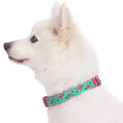 Flamingo Ladybug Dog Collar Summer Tropical Palm Leaves -Dog & Cat Store 1040334021 3 2c30f94d 77e8 4222 a837 4613be78cc03
