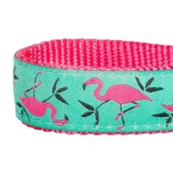 Flamingo Ladybug Dog Collar Summer Tropical Palm Leaves -Dog & Cat Store 1040334021 5 9921427b 786b 4c57 8b76 83accdddeffc