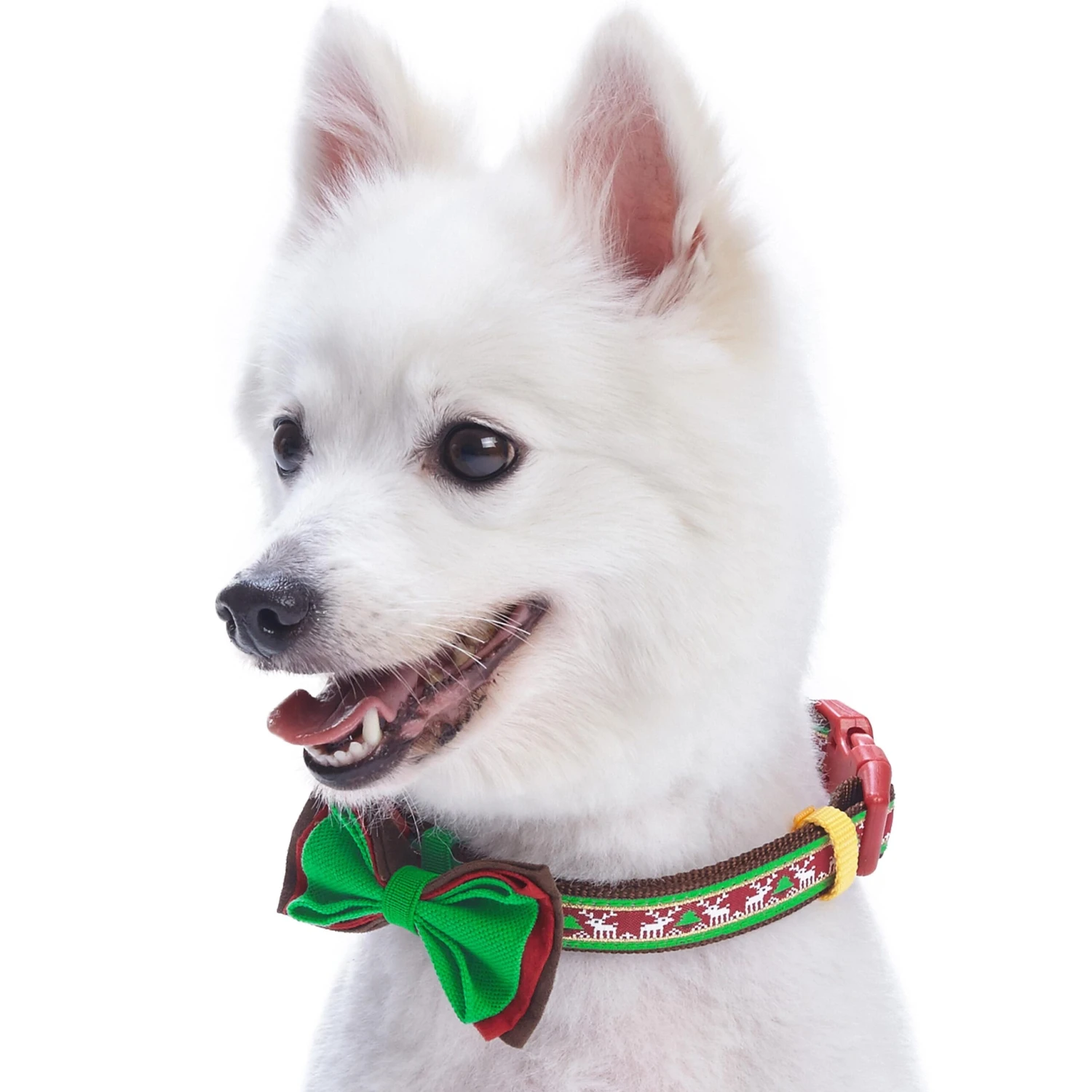Christmas Dog Collar With Handmade Detachable Bow Tie 8 Christmas Dog Collar With Handmade Detachable Bow Tie - Image 8