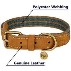 Full Grain Leather & Polyester Dog Collar For Stylish Pets -Dog & Cat Store 1040403048 4 42ae1acd fb9f 4138 a1f1 e049c9fcf1df
