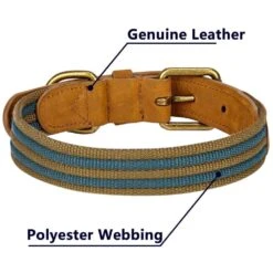 Full Grain Leather & Polyester Dog Collar For Stylish Pets -Dog & Cat Store 1040403048 5 5efd4382 c605 4989 bdb3 7469d698f464