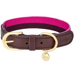 Full Grain Leather & Polyester Dog Collar For Stylish Pets -Dog & Cat Store 1040405042 1 cf969f8d 8a73 45ba b938 e4b6e809948b