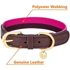 Full Grain Leather & Polyester Dog Collar For Stylish Pets -Dog & Cat Store 1040405042 4 6eed04e1 8047 46e6 b63a 1e1fcd49f1db