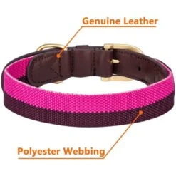 Full Grain Leather & Polyester Dog Collar For Stylish Pets -Dog & Cat Store 1040405042 5 82990a74 f9e5 4848 a58d 1f88583ac7ed