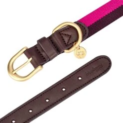 Full Grain Leather & Polyester Dog Collar For Stylish Pets -Dog & Cat Store 1040405042 6 fe90654a adac 4885 a8fd 2af3b8b5a248