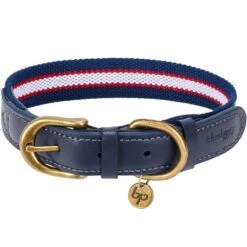 Full Grain Leather & Polyester Dog Collar For Stylish Pets