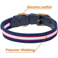 Full Grain Leather & Polyester Dog Collar For Stylish Pets -Dog & Cat Store 1040406049 5 87bf505d 4063 4299 b14c fe16c8338a61