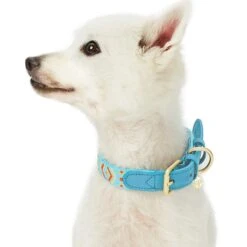 Southwestern Full Grain Leather & Polyester Dog Collar 27 Southwestern Full Grain Leather & Polyester Dog Collar -Dog & Cat Store 1040410046 1