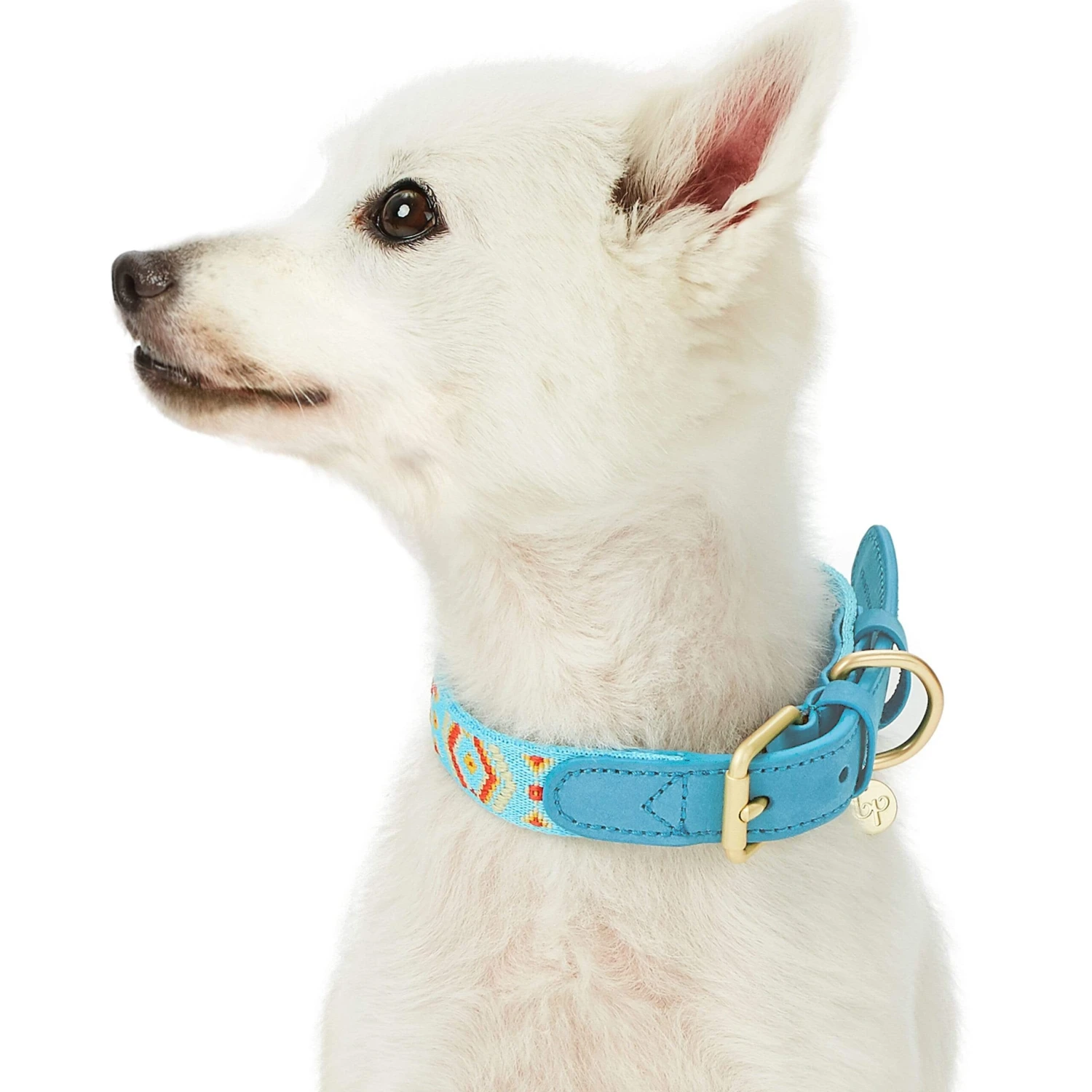 Southwestern Full Grain Leather & Polyester Dog Collar 12 Southwestern Full Grain Leather & Polyester Dog Collar - Image 12