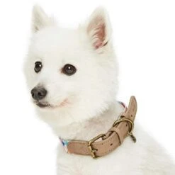 Shades Of Rainbow Full Grain Leather & Polyester Dog Collar -Dog & Cat Store 1040411043 3