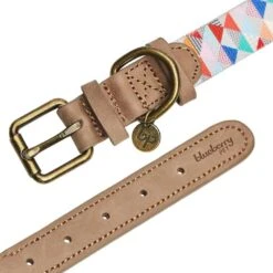 Shades Of Rainbow Full Grain Leather & Polyester Dog Collar -Dog & Cat Store 1040411043 5