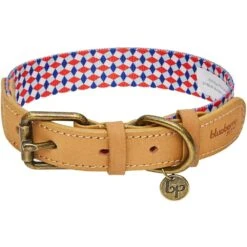 Shades Of Rainbow Full Grain Leather & Polyester Dog Collar -Dog & Cat Store 1040413047 1