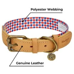 Shades Of Rainbow Full Grain Leather & Polyester Dog Collar -Dog & Cat Store 1040413047 4