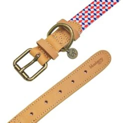 Shades Of Rainbow Full Grain Leather & Polyester Dog Collar -Dog & Cat Store 1040413047 5