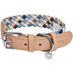 Braided Full Grain Leather Dog Collar For Stylish Pets